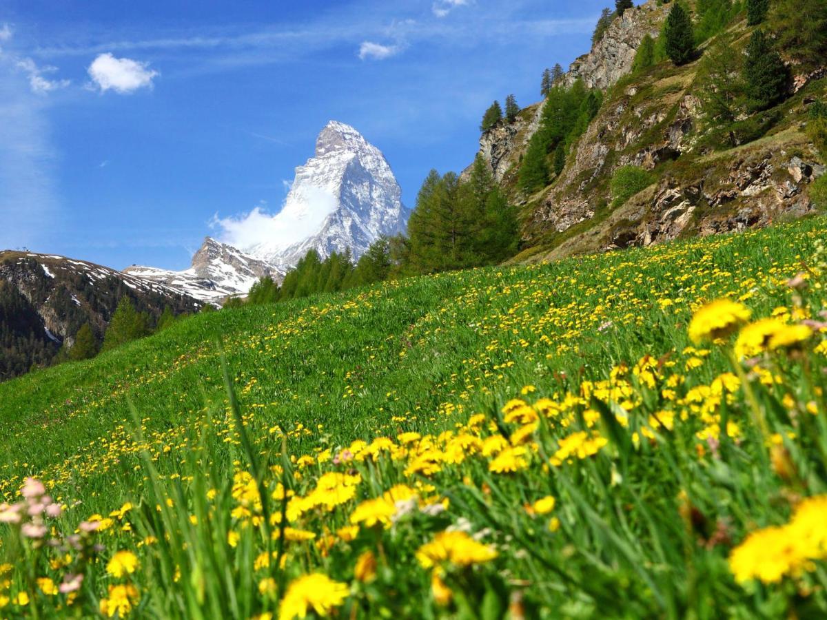 Apartment Alba By Interhome Zermatt Luaran gambar